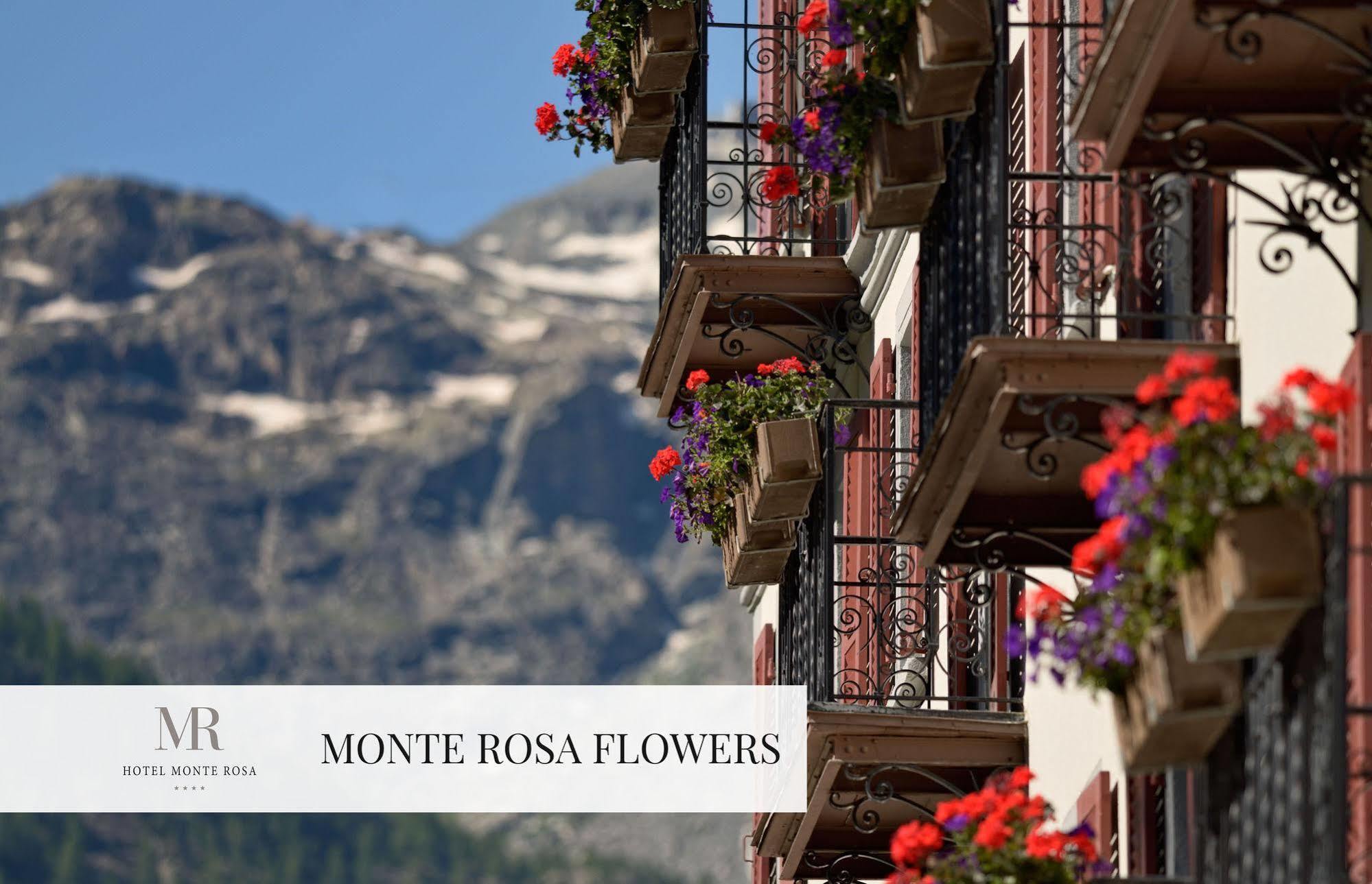 Monte Rosa Boutique Hotel Церматт Экстерьер фото
